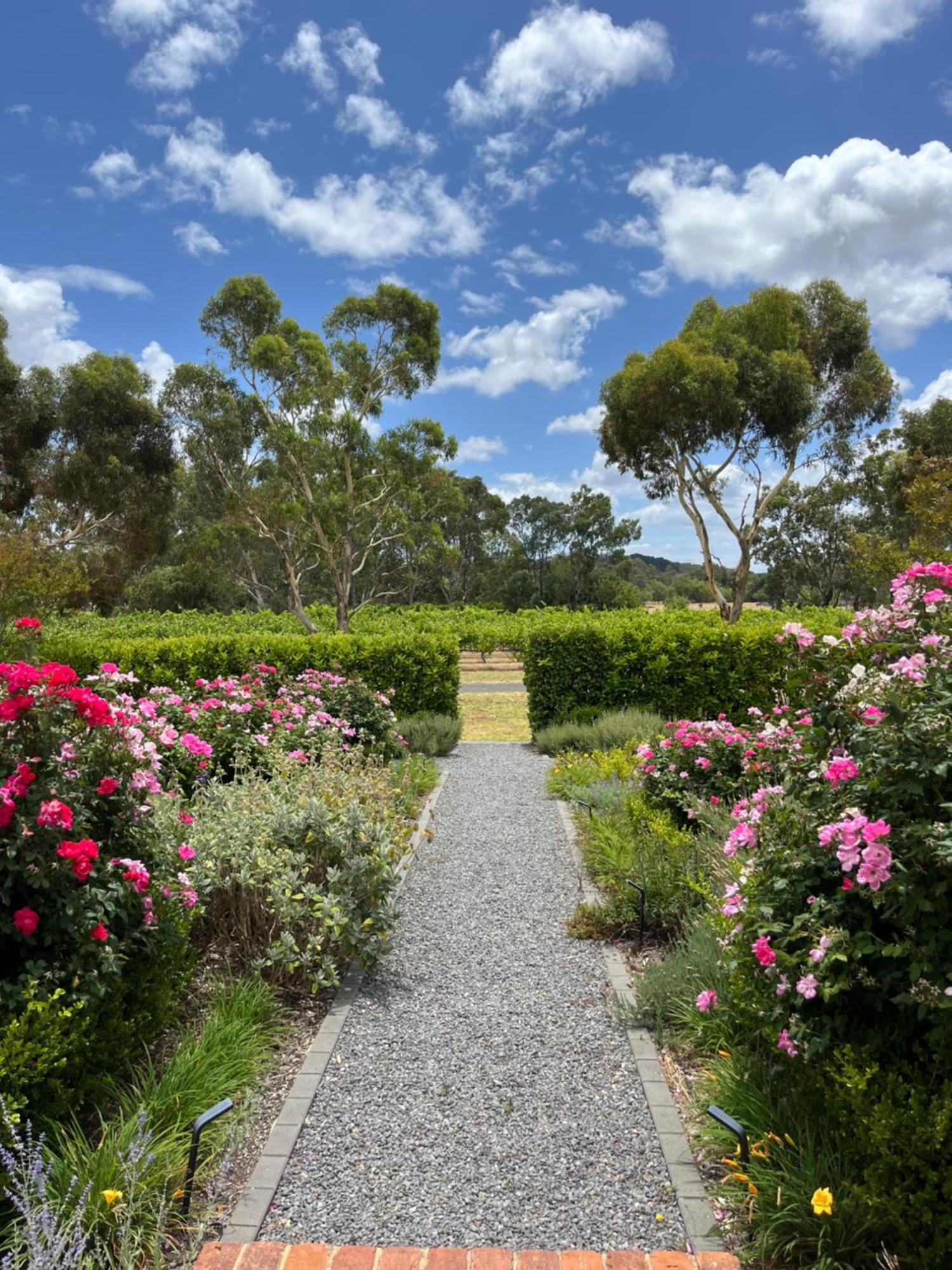 Oxenberry Farm Villa Mclaren Vale Luaran gambar