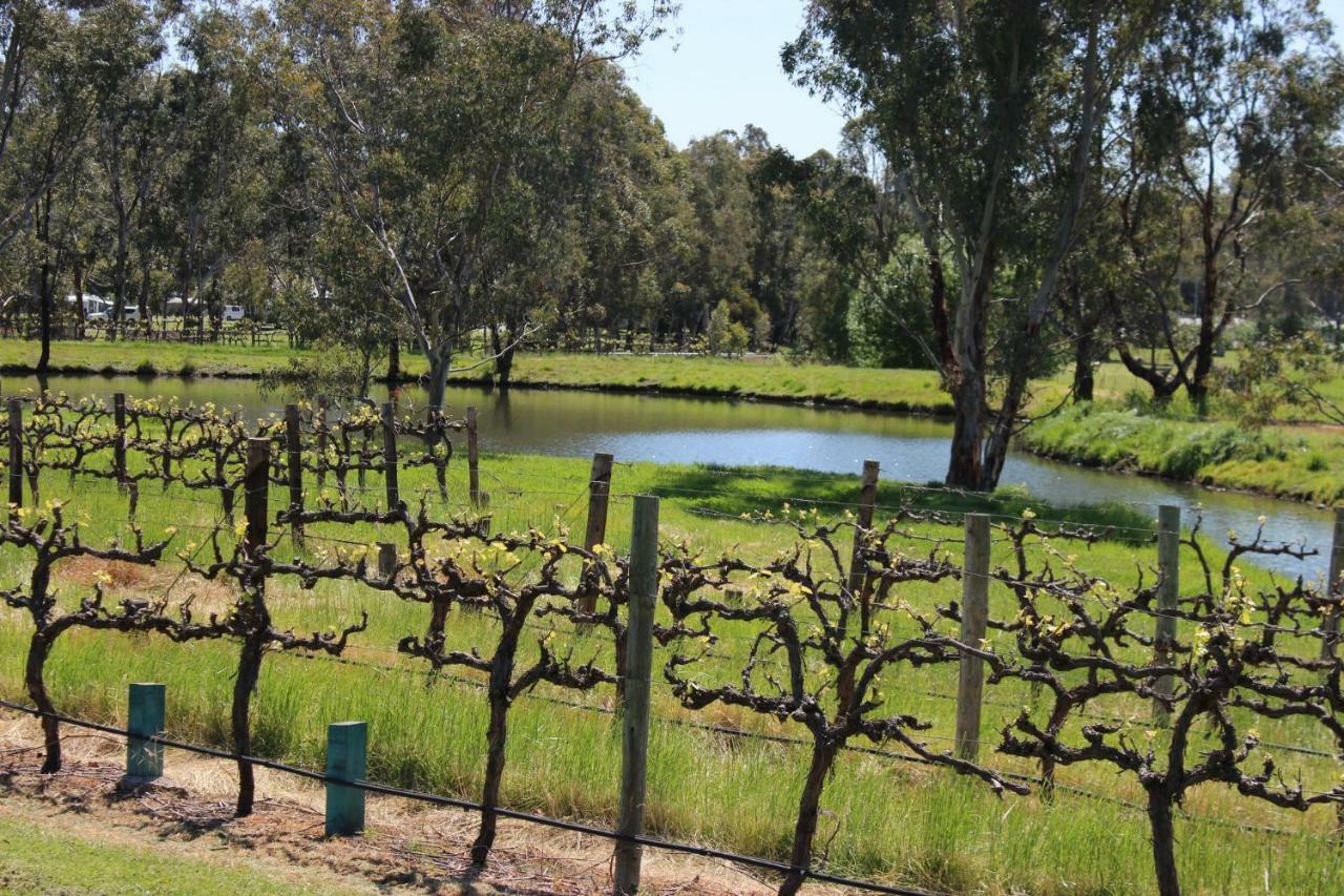 Oxenberry Farm Villa Mclaren Vale Luaran gambar